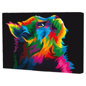 Gato mirando al cielo - kit de pintura por numeros 50x40 cm